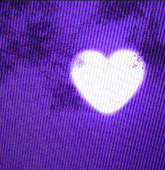 purpleheart.jpg