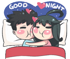 Good Night Sleeping GIF by Jin
